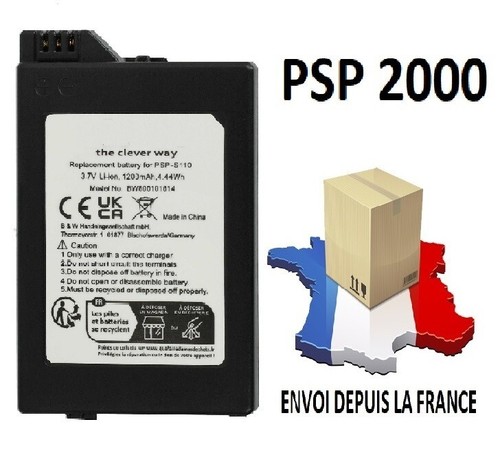 Batterie pour sony psp - sony, 2000